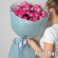 7 bush peony roses - Photo 1