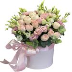 КОМПОЗИЦІЇ