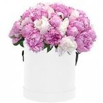 Пионы в коробке