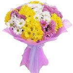 Хризантеми