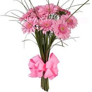 11 рожевих гербер