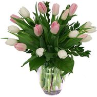 19 тюльпанів