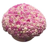 201 півонія в коробці