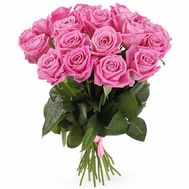 21 рожева троянда