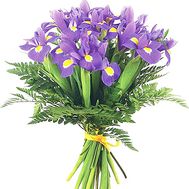 21 синій ірис