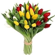 29 різнокольорових тюльпанів