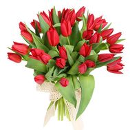 35 яскравих тюльпанів