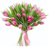35 рожевих тюльпанів