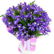 35 синіх ірисів