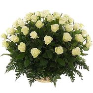 51 біла троянда у кошику