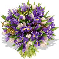 51 тюльпан і ірис