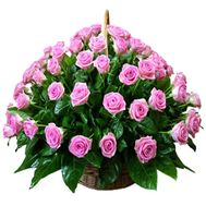 75 рожевих троянд у кошику