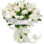 Букет із 35 білих тюльпанів
