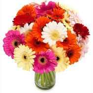 Букет із гербер