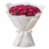 Букет із 13 червоних хризантем