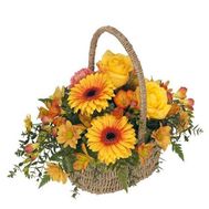 Кошик квітів з герберами