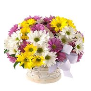 Кошик із різнокольорових хризантем