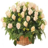 Кошик із 51 кремової троянди
