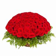 51 червона троянда в кошику