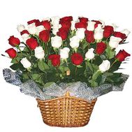 Кошик із 55 різнокольорових троянд