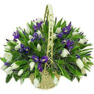 Кошик з 71 тюльпана та ірисів