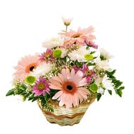 Кошик з гербер і хризантем