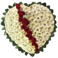 Серце з хризантем і червоних троянд