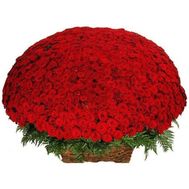 1001 червона троянда