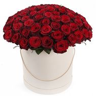 101 червона троянда в коробці
