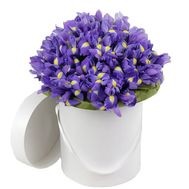 101 ірис в коробці