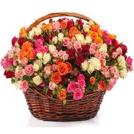 101 кущова троянда в коробці