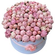 101 півонія в коробці