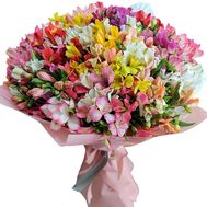 101 різнокольорова альстромерія