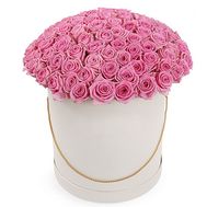 101 рожева троянда в коробці