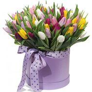 101 тюльпан в коробці