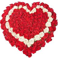 Серце із 101 червоної та білої троянди