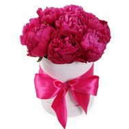 11 бордових півоній в коробці