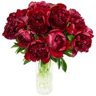 15 бордових півоній