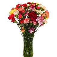 15 кущових гвоздик