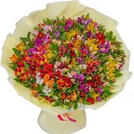 151 альстромерія