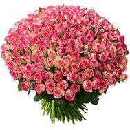 151 троянда Джумілія