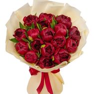 17 бордових півоній