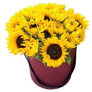 21 соняшник в коробці
