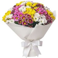 23 різнокольорові хризантеми