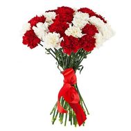 25 біло-червоних гвоздик