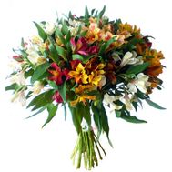 25 різнокольорових альстромерій