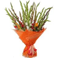 25 різнокольорових гладіолусів