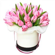 25 рожевих тюльпанів у коробці
