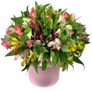 35 альстромерій в коробці