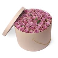 41 Роза Меморі лейн в коробці